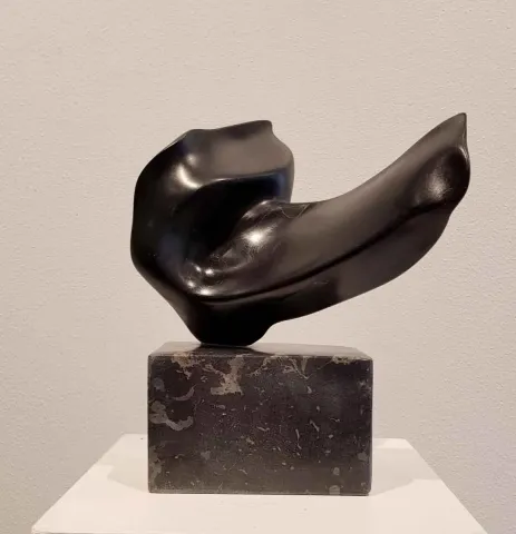 Bu eser DEMET KAYA tarafından 2018 yılında 26x21x16 cm ölçülerinde Serpantin tekniği ile yapılmıştır.