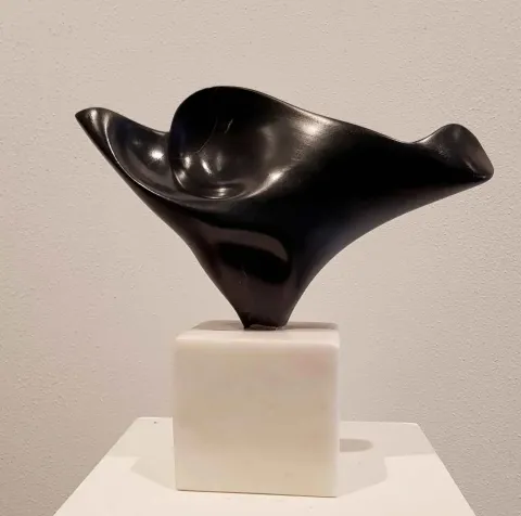 Bu eser DEMET KAYA tarafından 2018 yılında 27x27x14 cm ölçülerinde Serpantin tekniği ile yapılmıştır.