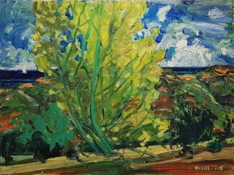 RESUL AYTEMÜR — “Çanakkaleden”, 2015 "Çanakkaleden" eseri RESUL AYTEMÜR tarafından 2015 yılında 60x80 cm ölçülerinde Tuval üzeri yağlı boya tekniği ile yapılmıştır.