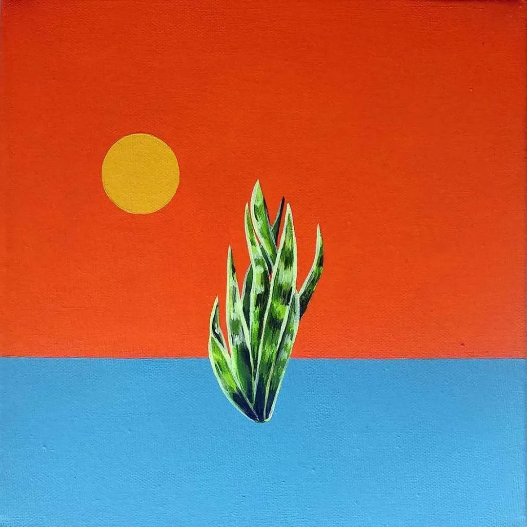 "sansevieria" eseri BELGİN ŞEN tarafından 2018 yılında 25x25 cm ölçülerinde Tuval üzeri yağlı boya tekniği ile yapılmıştır.