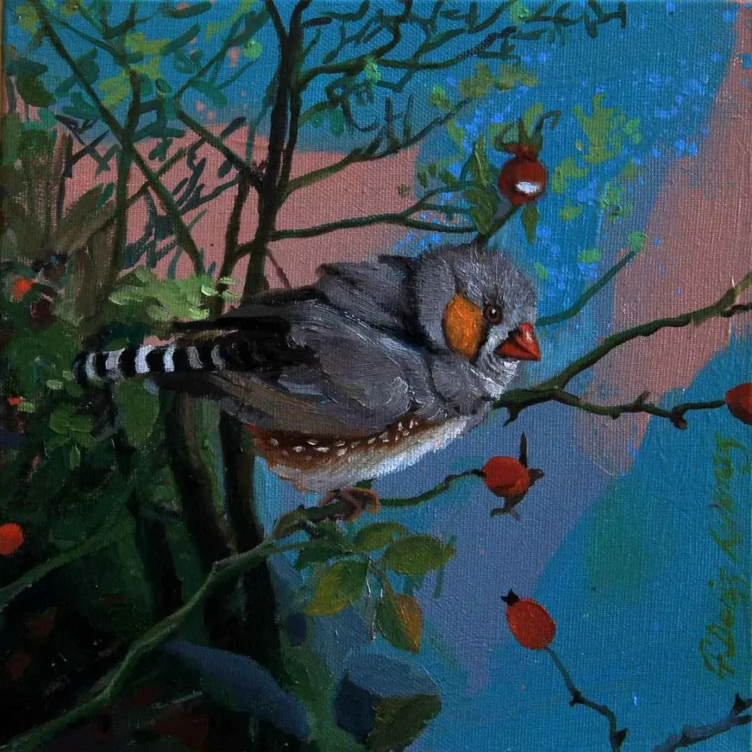 yakınlaştır "Hintbülbülü" eseri F. DENİZ KORKMAZ tarafından 2018 yılında 25x25 cm ölçülerinde Tuval üzeri yağlı boya tekniği ile yapılmıştır.