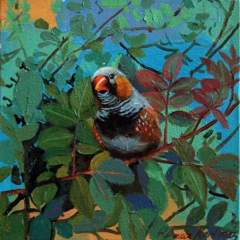 F. DENİZ KORKMAZ — “Kara Hintbülbülü”, 2018 "Kara Hintbülbülü" eseri F. DENİZ KORKMAZ tarafından 2018 yılında 25x25 cm ölçülerinde Tuval üzeri yağlı boya tekniği ile yapılmıştır.