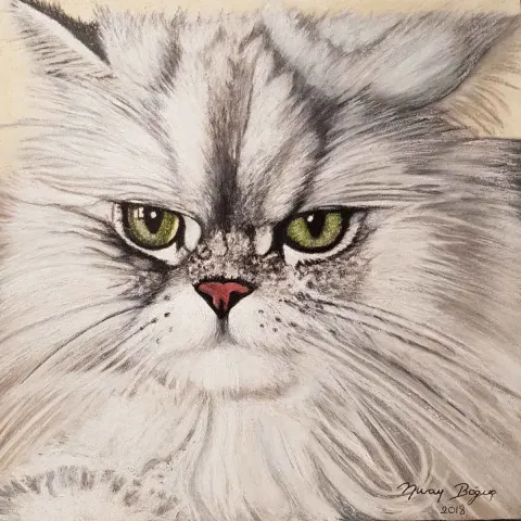 Bu eser NURAY BOĞUÇ tarafından 2018 yılında 25x25 cm ölçülerinde Kağıt üzeri karakalem tekniği ile yapılmıştır.