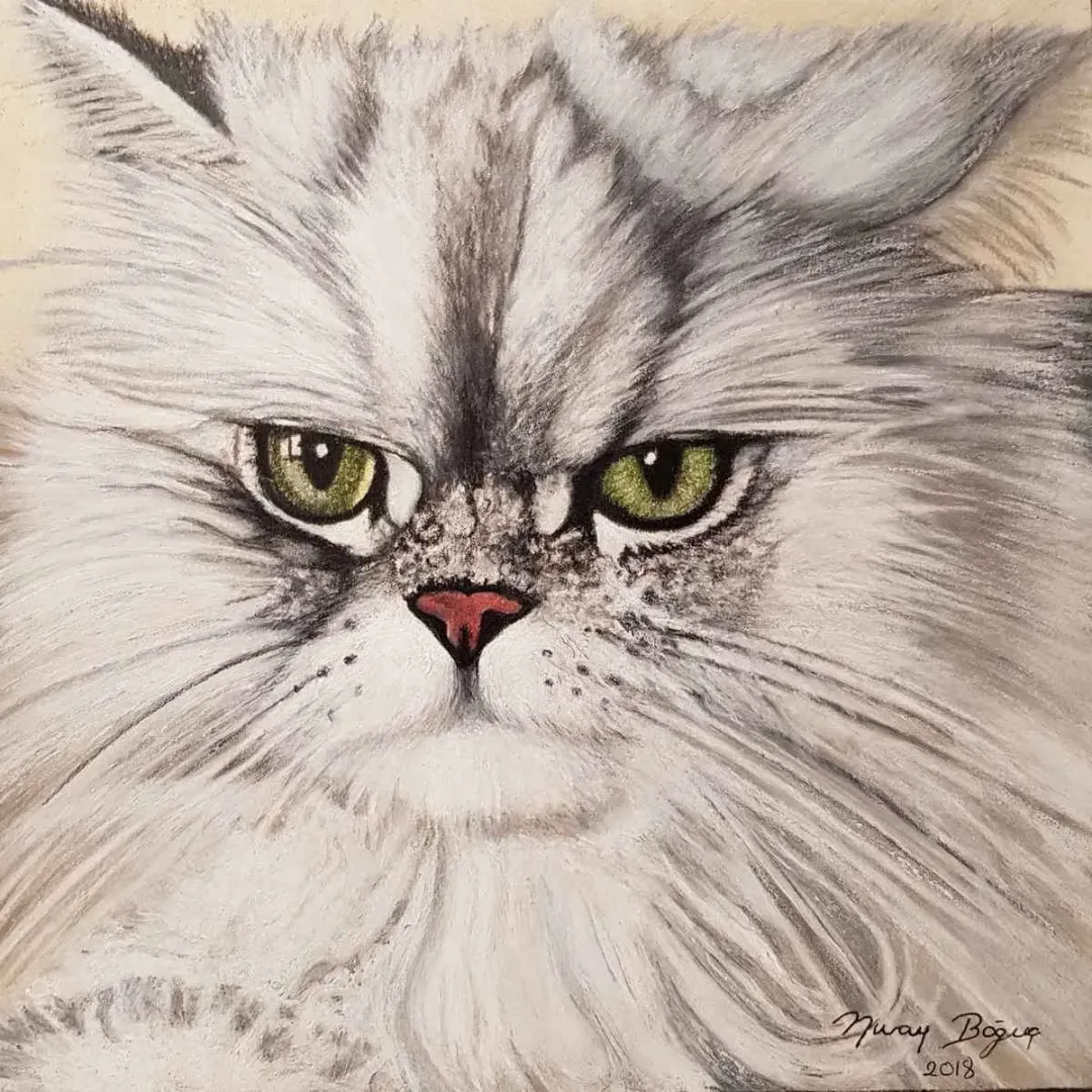 NURAY BOĞUÇ — 2018 Bu eser NURAY BOĞUÇ tarafından 2018 yılında 25x25 cm ölçülerinde Kağıt üzeri karakalem tekniği ile yapılmıştır.