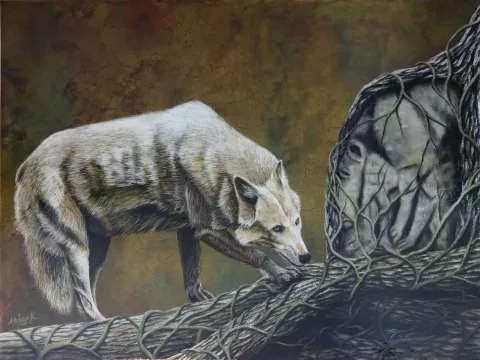 ALİ FATİH KÜÇÜKOSMANOĞLU — “Yaşlı Kurt”, 2018 "Yaşlı Kurt" eseri ALİ FATİH KÜÇÜKOSMANOĞLU tarafından 2018 yılında 90x120 cm ölçülerinde Tuval üzeri yağlı boya tekniği ile yapılmıştır.