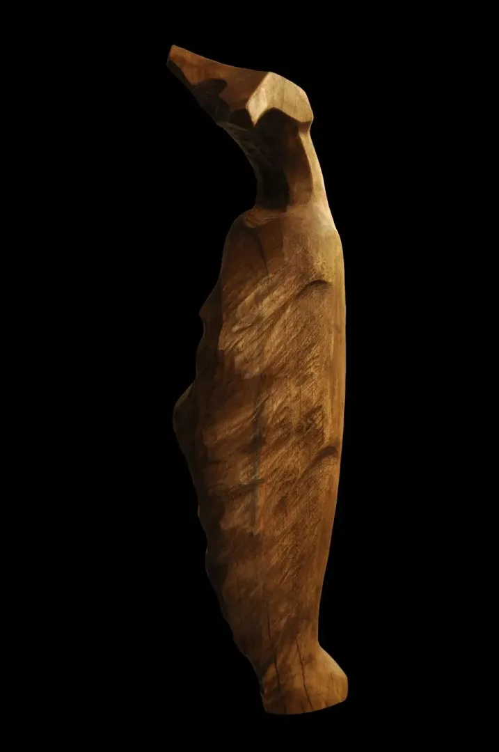 AZİMET KARAMAN — “İsimsiz” "İsimsiz" eseri AZİMET KARAMAN tarafından 40x16x10 cm ölçülerinde Ceviz yontu tekniği ile yapılmıştır.