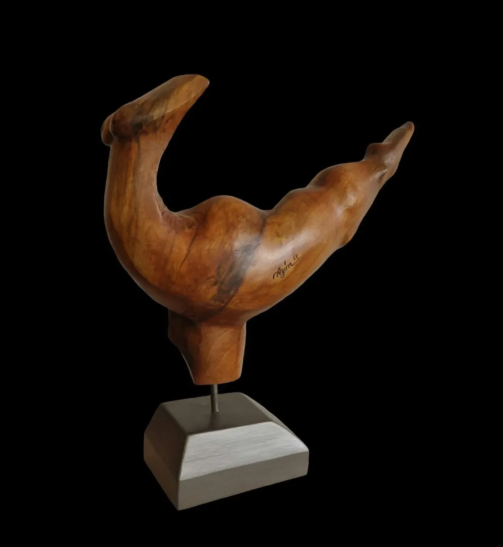 AZİMET KARAMAN — “İsimsiz” "İsimsiz" eseri AZİMET KARAMAN tarafından 47x35x12 cm ölçülerinde Ceviz yontu tekniği ile yapılmıştır.