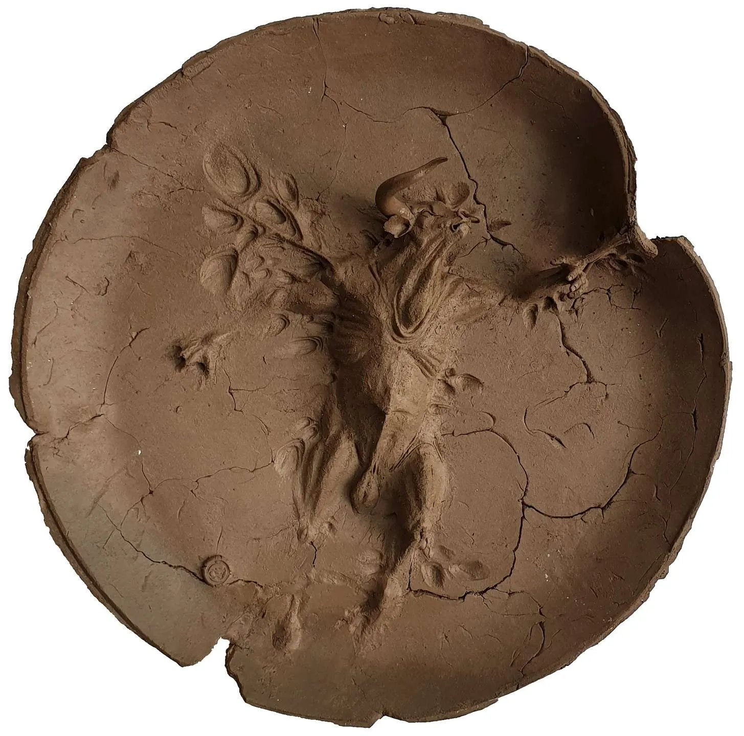 "Son Umut" eseri BUĞRA ÖZER tarafından 2019 yılında 55x14 cm ölçülerinde Stoneware Kil, Serbest elle Şekillendirme 1150°C tekniği ile yapılmıştır.