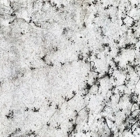 SEDA DİNÇAY — “İsimsiz” "İsimsiz" eseri SEDA DİNÇAY tarafından 25x25 cm ölçülerinde Dijital baskı üzeri karışık teknik tekniği ile yapılmıştır.