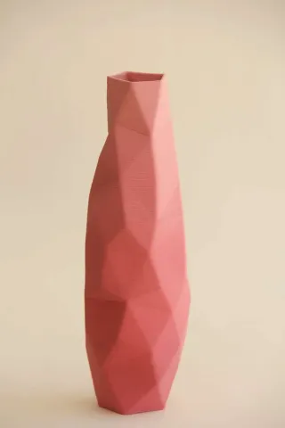 "Pink Poly Vase" eseri SANVER ÖZGÜVEN tarafından 2018 yılında 30x10x10 cm ölçülerinde Üç Boyutlu Seramik Yazıcı ile Şekillendirme 1230 °C tekniği ile yapılmıştır.