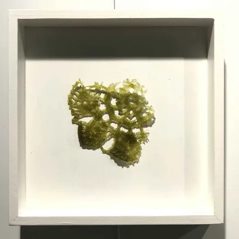 SERAP BEDEL — “Ezo Gelinin Çeyizi” "Ezo Gelinin Çeyizi" eseri SERAP BEDEL tarafından 25x25 cm ölçülerinde Kalıpta Şekillendirme tekniği ile yapılmıştır.