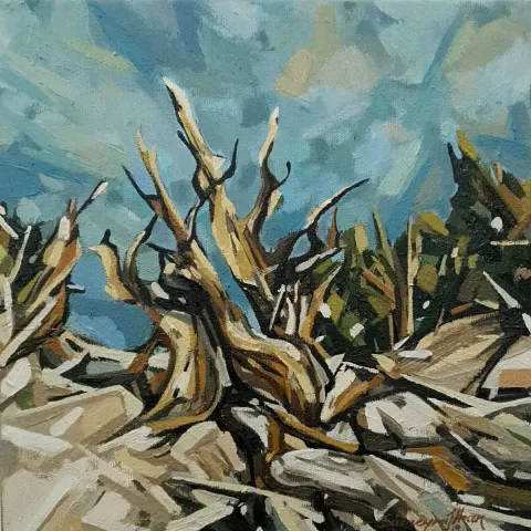 SÜMEYRA İLHAN — “İsimsiz”, 2019 "İsimsiz" eseri SÜMEYRA İLHAN tarafından 2019 yılında 25x25 cm ölçülerinde Tuval üzeri yağlı boya tekniği ile yapılmıştır.