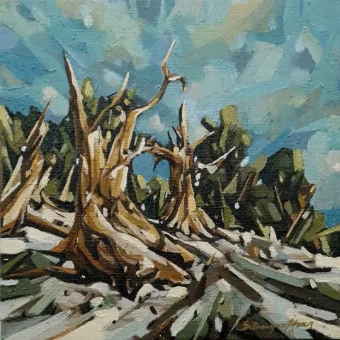 SÜMEYRA İLHAN — “İsimsiz”, 2019 "İsimsiz" eseri SÜMEYRA İLHAN tarafından 2019 yılında 25x25 cm ölçülerinde Tuval üzeri yağlı boya tekniği ile yapılmıştır.