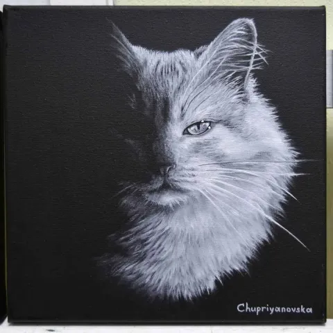 VİKTORİA CHUPRİYANOVSKA — “The Dark Side Of The Cat”, 2019 "The Dark Side Of The Cat" eseri VİKTORİA CHUPRİYANOVSKA tarafından 2019 yılında 25x25 cm ölçülerinde Tuval üzeri yağlı boya tekniği ile yapılmıştır.