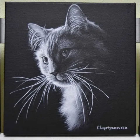 VİKTORİA CHUPRİYANOVSKA — “The Dark Side Of The Cat”, 2019 "The Dark Side Of The Cat" eseri VİKTORİA CHUPRİYANOVSKA tarafından 2019 yılında 25x25 cm ölçülerinde Tuval üzeri yağlı boya tekniği ile yapılmıştır.