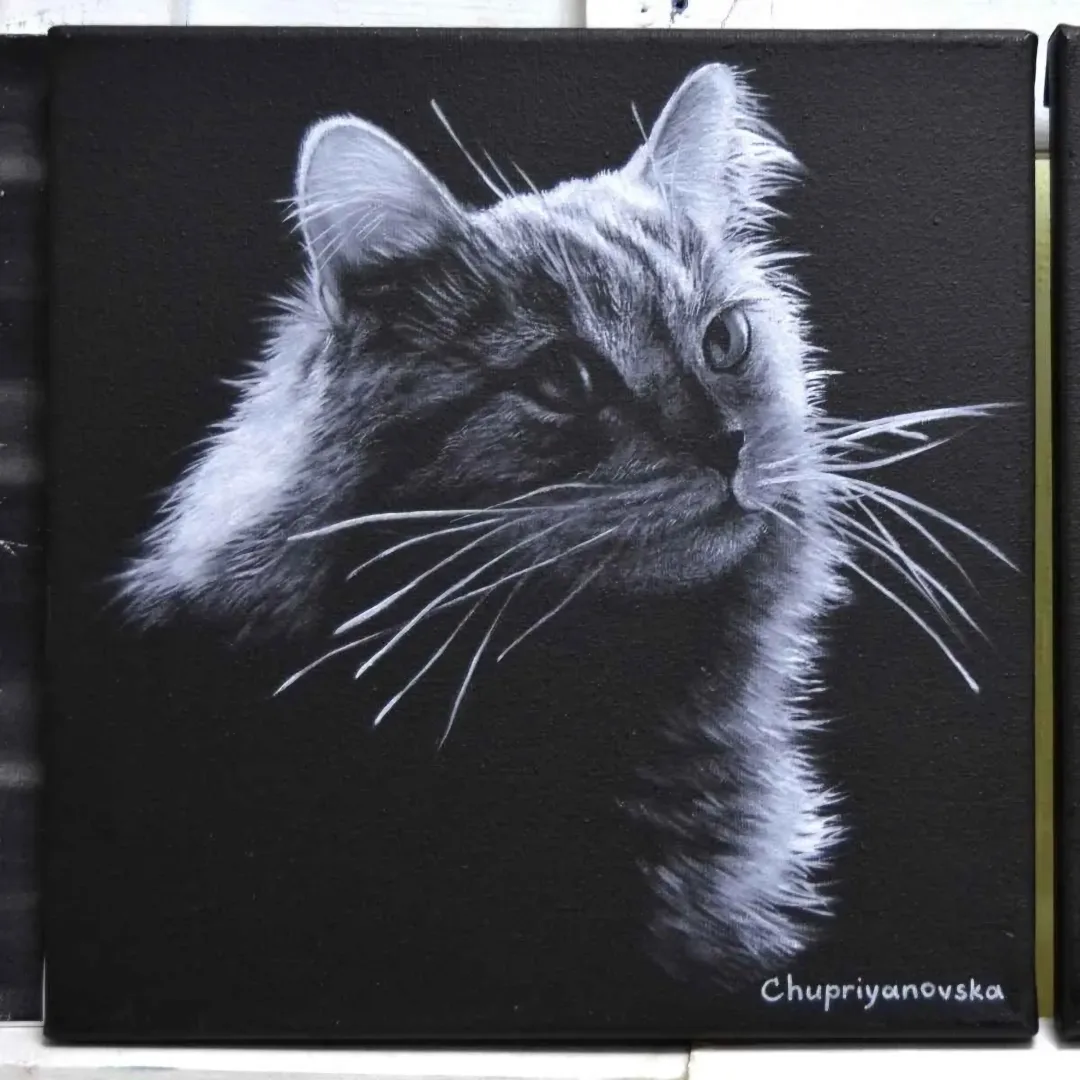 yakınlaştır "The Dark Side Of The Cat" eseri VİKTORİA CHUPRİYANOVSKA tarafından 2019 yılında 25x25 cm ölçülerinde Tuval üzeri yağlı boya tekniği ile yapılmıştır.