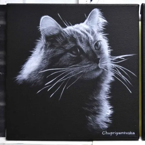VİKTORİA CHUPRİYANOVSKA — “The Dark Side Of The Cat”, 2019 "The Dark Side Of The Cat" eseri VİKTORİA CHUPRİYANOVSKA tarafından 2019 yılında 25x25 cm ölçülerinde Tuval üzeri yağlı boya tekniği ile yapılmıştır.