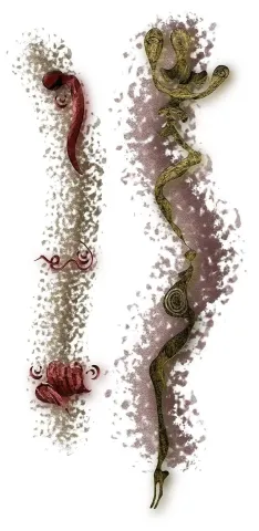BEKİR KIRAÇ — “İnisiye (Mürit)” "İnisiye (Mürit)" eseri BEKİR KIRAÇ tarafından 100x48 cm ölçülerinde Fotoğraf, dijital çizim karışık teknik, Kanvas üzeri inkjet baskı tekniği ile yapılmıştır.