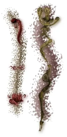 BEKİR KIRAÇ — “İnisiye (Mürit)” "İnisiye (Mürit)" eseri BEKİR KIRAÇ tarafından 100x48 cm ölçülerinde Fotoğraf, dijital çizim karışık teknik, Kanvas üzeri inkjet baskı tekniği ile yapılmıştır.