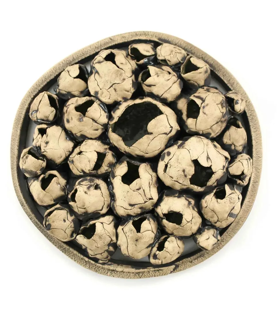 yakınlaştır "Soluk" eseri GÜLİZ KORKMAZ tarafından 2020 yılında 27x27x7 cm ölçülerinde Stoneware Elle şekillendirme seramik 1200°C tekniği ile yapılmıştır.