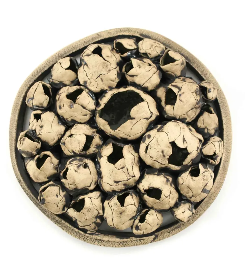 yakınlaştır "Soluk" eseri GÜLİZ KORKMAZ tarafından 2020 yılında 27x27x7 cm ölçülerinde Stoneware Elle şekillendirme seramik 1200°C tekniği ile yapılmıştır.