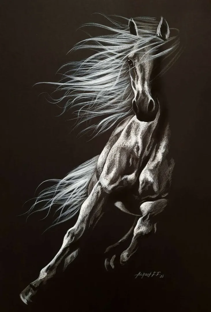 "İsimsiz" eseri BEHZAT FEYZULLAH tarafından 50x33,5 cm ölçülerinde Kağıt üzeri yağlı pastel + guaj + kalem tekniği ile yapılmıştır.