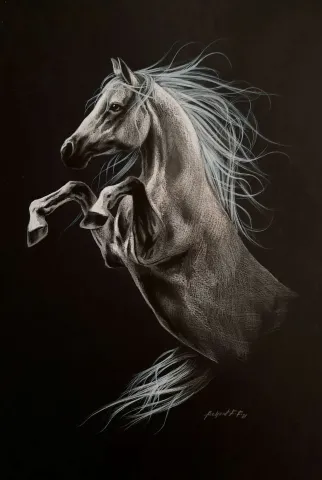 "İsimsiz" eseri BEHZAT FEYZULLAH tarafından 50x33,5 cm ölçülerinde Kağıt üzeri yağlı pastel + guaj + kalem tekniği ile yapılmıştır.