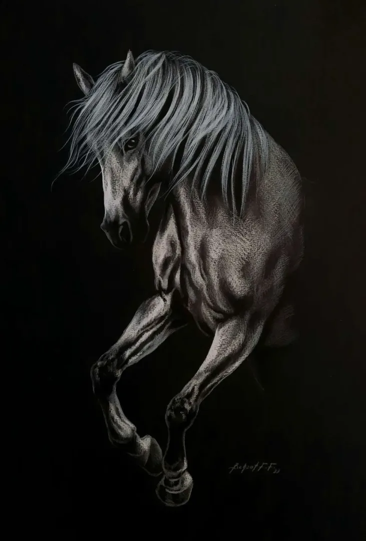 "İsimsiz" eseri BEHZAT FEYZULLAH tarafından 50x33,5 cm ölçülerinde Kağıt üzeri yağlı pastel + guaj + kalem tekniği ile yapılmıştır.