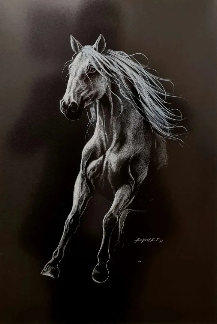 "İsimsiz" eseri BEHZAT FEYZULLAH tarafından 50x33,5 cm ölçülerinde Kağıt üzeri yağlı pastel + guaj + kalem tekniği ile yapılmıştır.