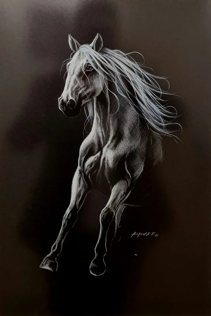 BEHZAT FEYZULLAH — İsimsiz