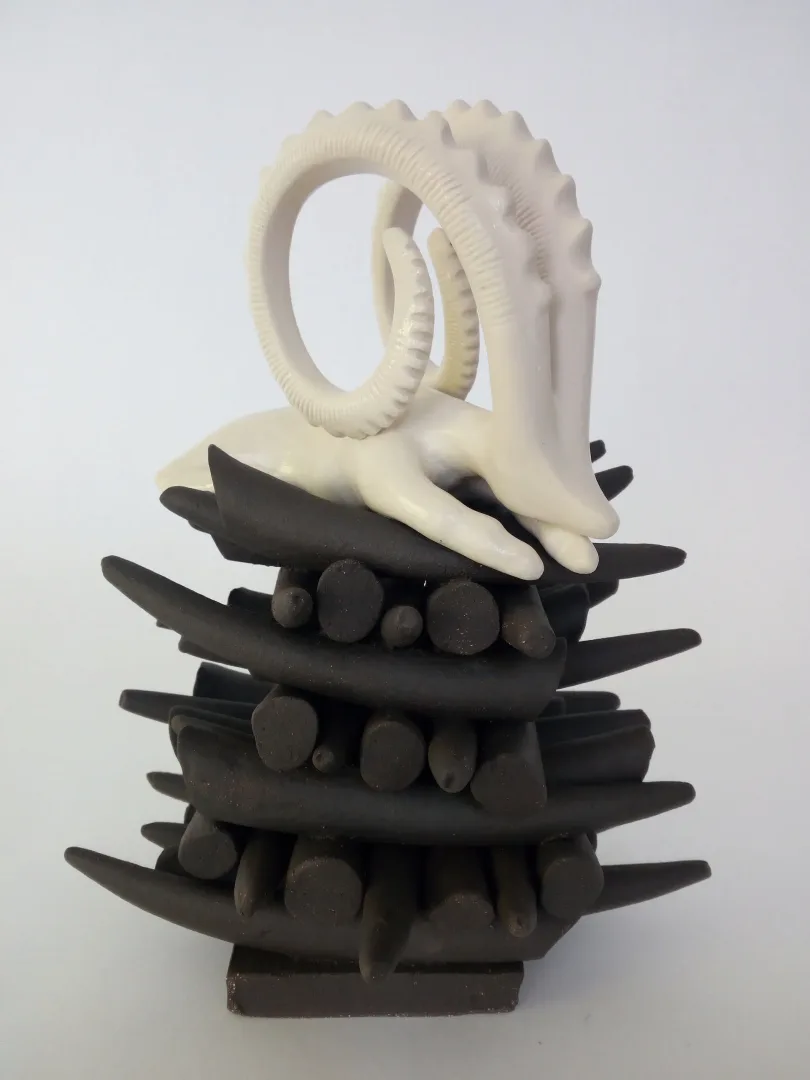 Bu eser AYŞE ERGÜNER tarafından 2021 yılında 20x18x26 cm ölçülerinde siyah çamur, porselen çamur, 1240°C, sırlı pişirim tekniği ile yapılmıştır.