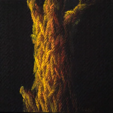 "Gövde" eseri AHMET YEŞİL tarafından 40x40 cm ölçülerinde Tuval üzeri yağlı boya tekniği ile yapılmıştır.