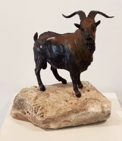 "Dağ Keçisi" eseri ALEXANDER DAVİDOV tarafından 2017 yılında 39x34x25 cm ölçülerinde Bronz tekniği ile yapılmıştır.