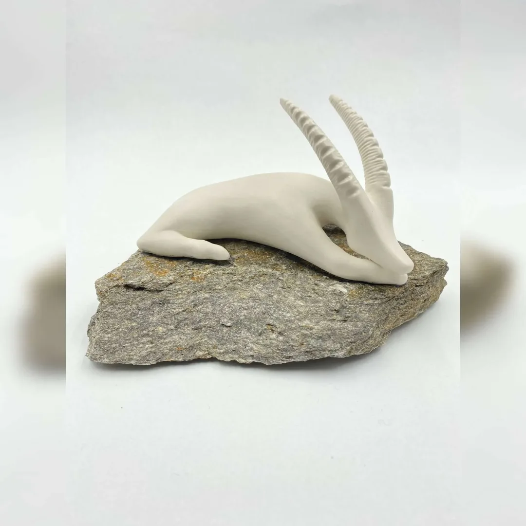 AYŞE ERGÜNER — “isimsiz”, 2022 "isimsiz" eseri AYŞE ERGÜNER tarafından 2022 yılında 18x11x8 cm ölçülerinde Porselen çamuru, doğal taş, 1200°C, elle şekillendirme tekniği ile yapılmıştır.
