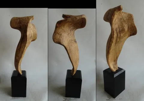 "İsimsiz" eseri AZİMET KARAMAN tarafından 2023 yılında 53x16x11 cm ölçülerinde Zeytin Ağacı tekniği ile yapılmıştır.