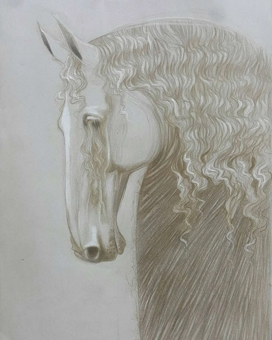 yakınlaştır "Persona" eseri HAKAN ERASLAN tarafından 2019 yılında 34x25 cm ölçülerinde Kağıt üzeri desen tekniği ile yapılmıştır.
