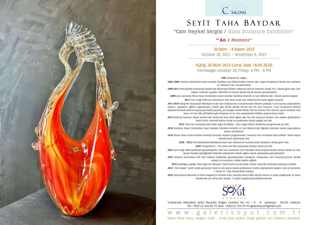 TAHA BAYDAR — sergiden görünüm