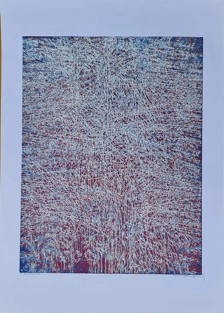 "İsimsiz" eseri DEVRİM ERBİL tarafından 2011 yılında 70x50 cm ölçülerinde Serigrafi tekniği ile yapılmıştır.