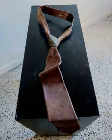 ASLIHAN TİRYAKİ — “Hergün Kendimi Asıyorum”, 2023 "Hergün Kendimi Asıyorum" eseri ASLIHAN TİRYAKİ tarafından 2023 yılında 39x9x13 cm ölçülerinde Metal Plaka tekniği ile yapılmıştır.