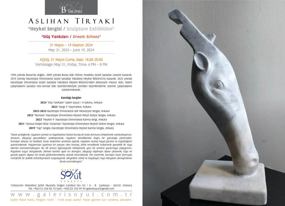 ASLIHAN TİRYAKİ — sergiden görünüm