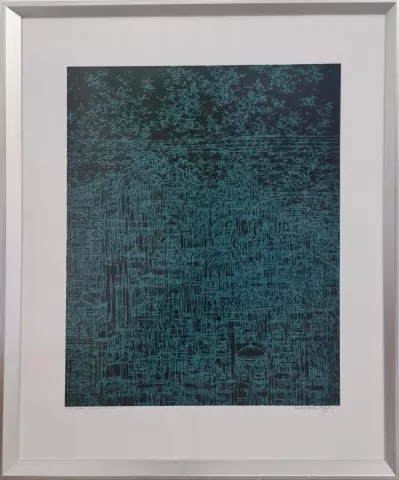 "Anadolu çeşitlemesi" eseri DEVRİM ERBİL tarafından 2017 yılında 100x70 cm ölçülerinde Serigrafi 14/50 tekniği ile yapılmıştır.