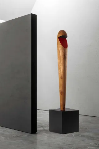 "Detraktif Anatomiler - IV" eseri AHMET YİĞİDER tarafından 2023 yılında 186x40x40 cm ölçülerinde Karaağaç, yağ, pigment, mdf tekniği ile yapılmıştır.