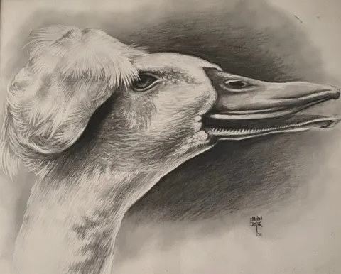 "İsimsiz" eseri KENAN DEĞER tarafından 1990 yılında 45x56 cm ölçülerinde Kağıt üzeri kurşun kalem tekniği ile yapılmıştır.