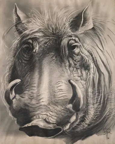 "Yaban Domuzu" eseri KENAN DEĞER tarafından 1991 yılında 56x45 cm ölçülerinde Kağıt üzeri kurşun kalem tekniği ile yapılmıştır.