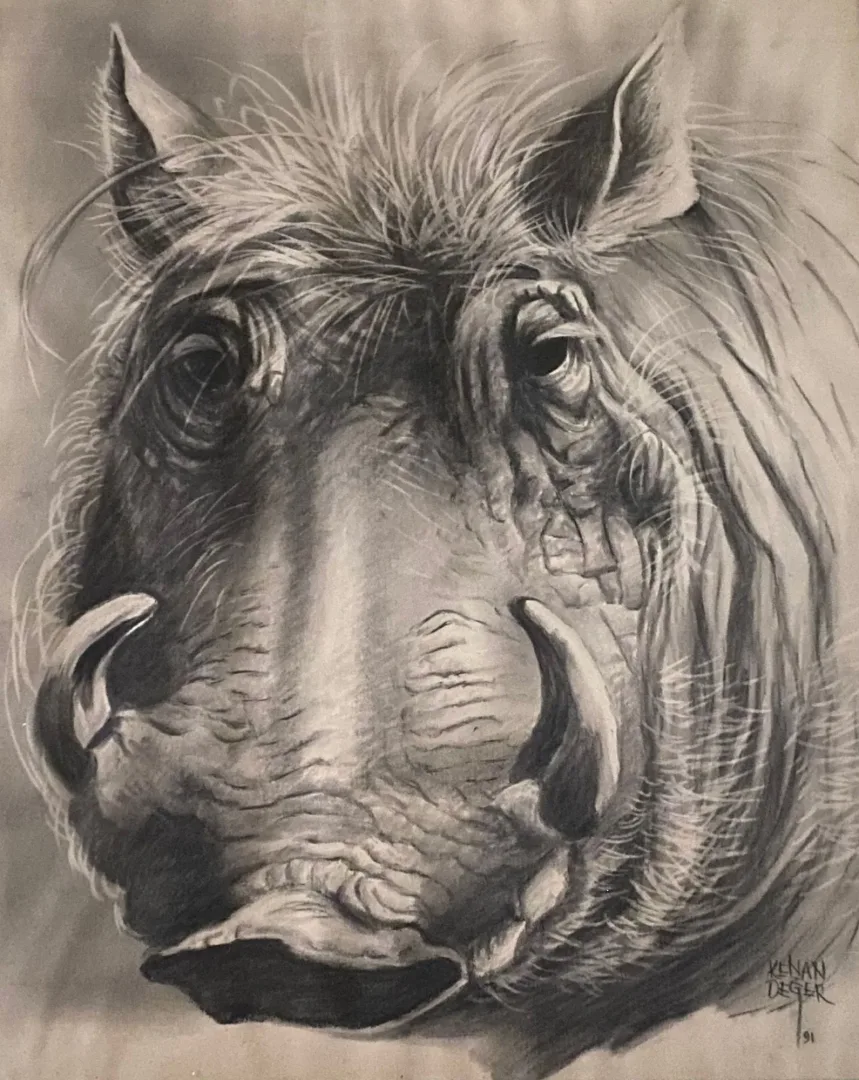 yakınlaştır "Yaban Domuzu" eseri KENAN DEĞER tarafından 1991 yılında 56x45 cm ölçülerinde Kağıt üzeri kurşun kalem tekniği ile yapılmıştır.