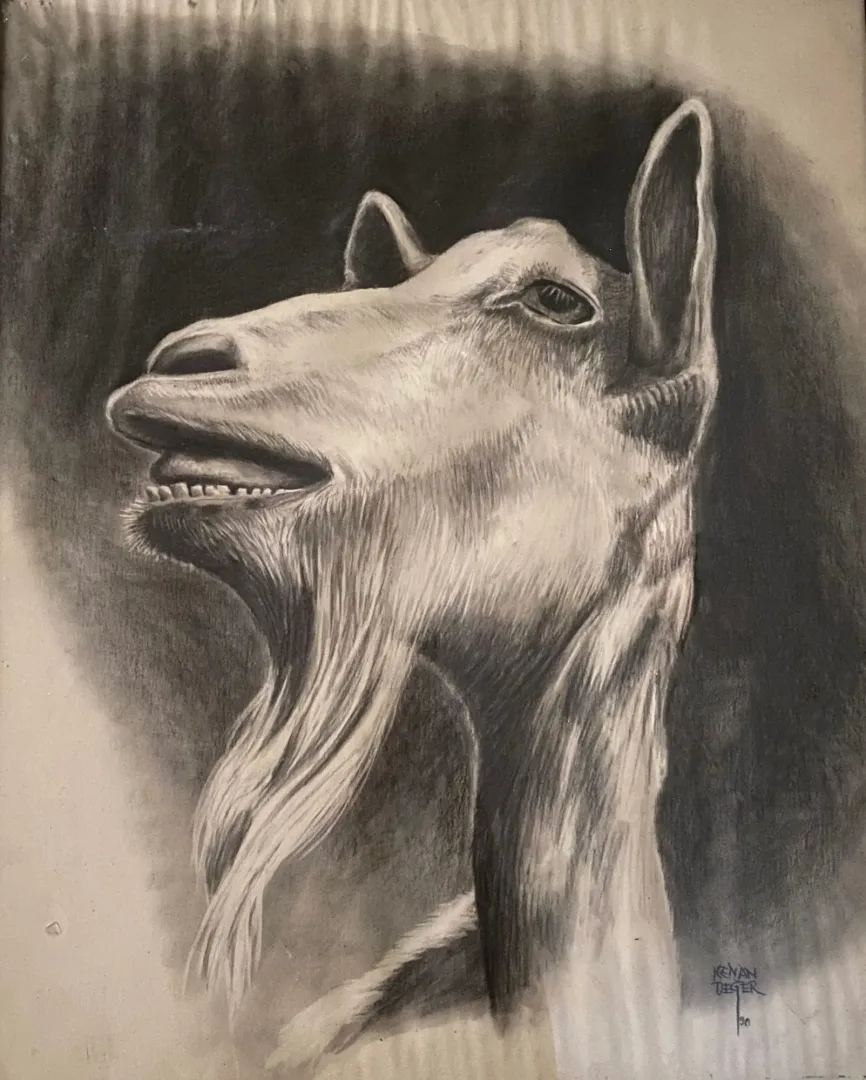 "Keçi" eseri KENAN DEĞER tarafından 1990 yılında 56x45 cm ölçülerinde Kağıt üzeri kurşun kalem tekniği ile yapılmıştır.