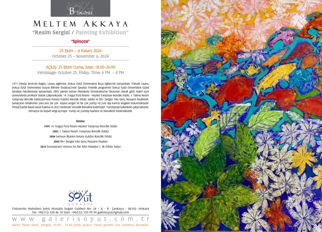 MELTEM AKKAYA — sergiden görünüm