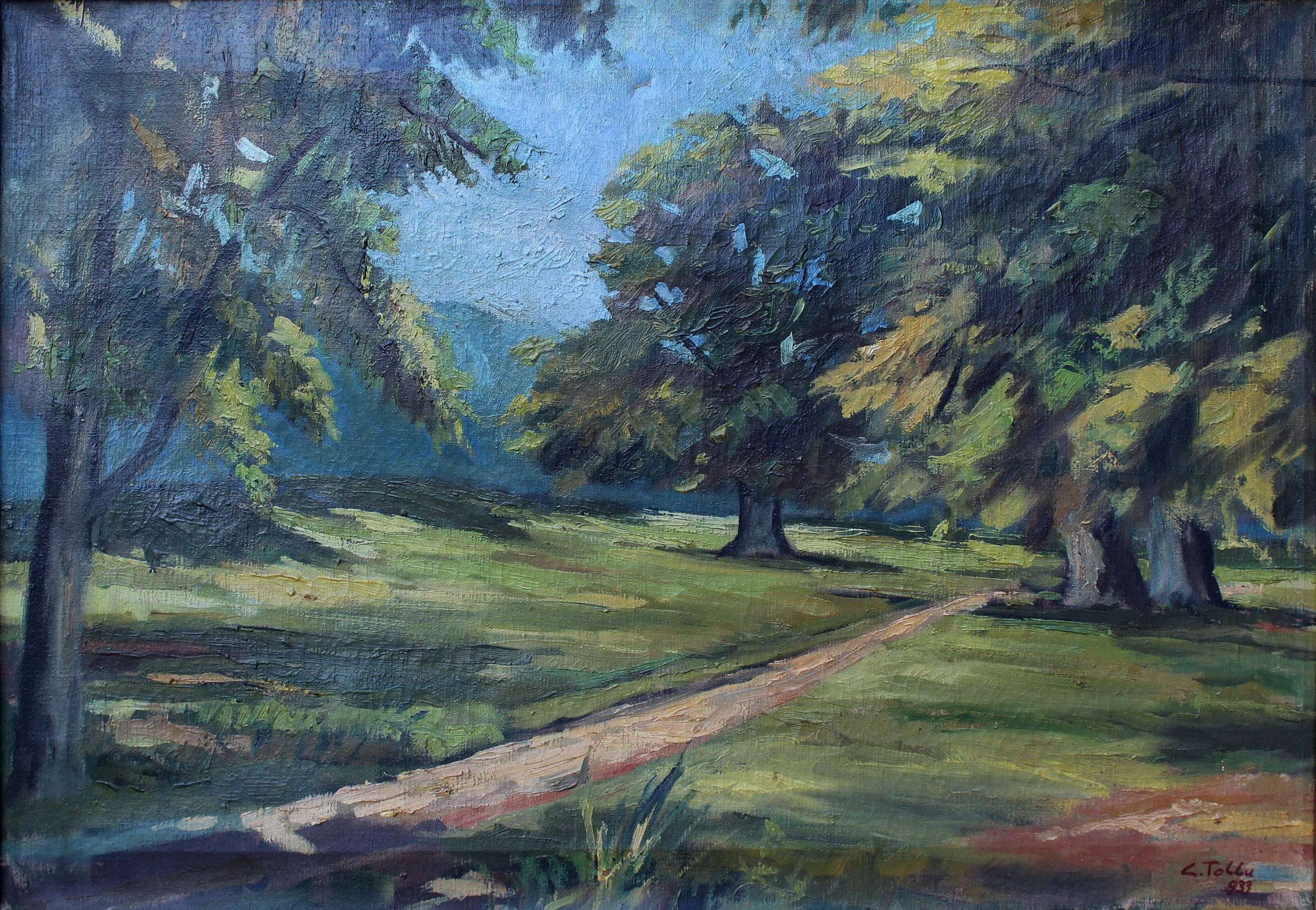 "Manzara" eseri CEMAL TOLLU tarafından 1933 yılında 46x65 cm ölçülerinde Tuval üzeri yağlı boya tekniği ile yapılmıştır.