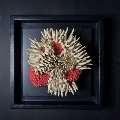 ELİF NURAN YAŞAROL — “isimsiz”, 2024 "isimsiz" eseri ELİF NURAN YAŞAROL tarafından 2024 yılında 26x26x8 cm ölçülerinde Seramik, Elle Şekillendirme tekniği ile yapılmıştır.