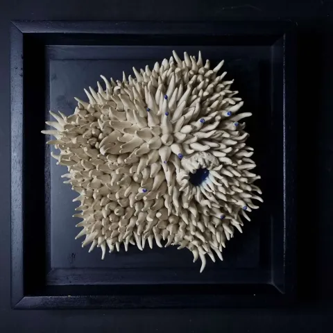 ELİF NURAN YAŞAROL — “isimsiz”, 2024 "isimsiz" eseri ELİF NURAN YAŞAROL tarafından 2024 yılında 26x26x8 cm ölçülerinde Seramik, Elle Şekillendirme tekniği ile yapılmıştır.